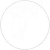 Feedback and Reflection